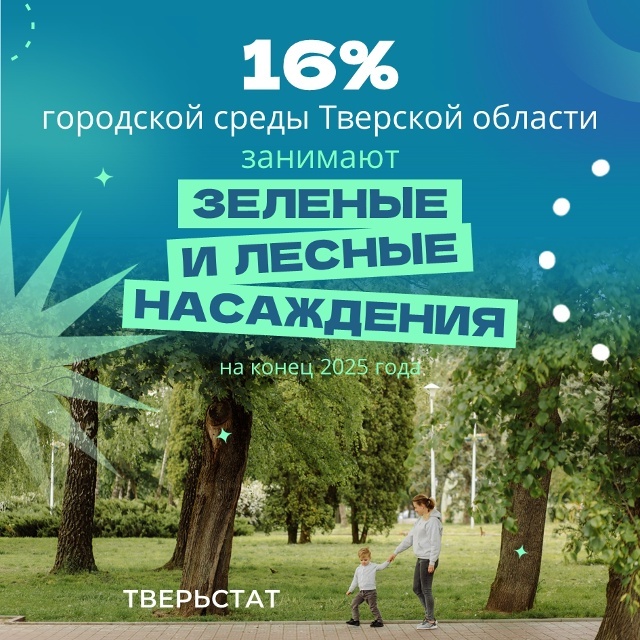 Специалисты Тверьстата подсчитали площадь зеленых зон в населенных пунктах