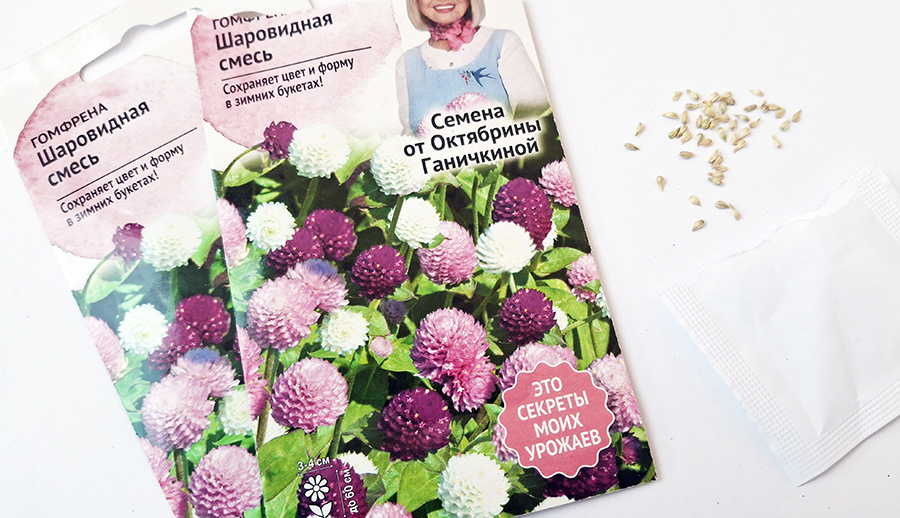На фото — содержимое одного пакетика семян гомфрены
