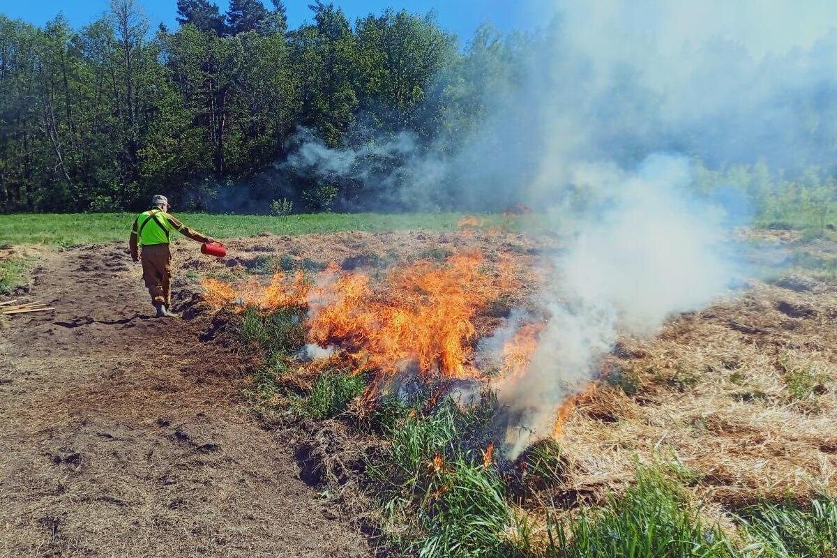    Фото: Ольга Шеметова, источник: администрация городского округа Пушкинский