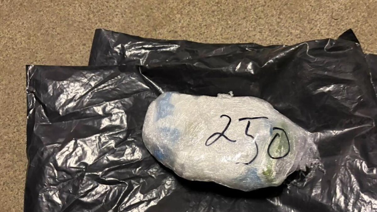    Фото: пресс-служба ГУ МВД России по Санкт-Петербургу и Ленинградской области