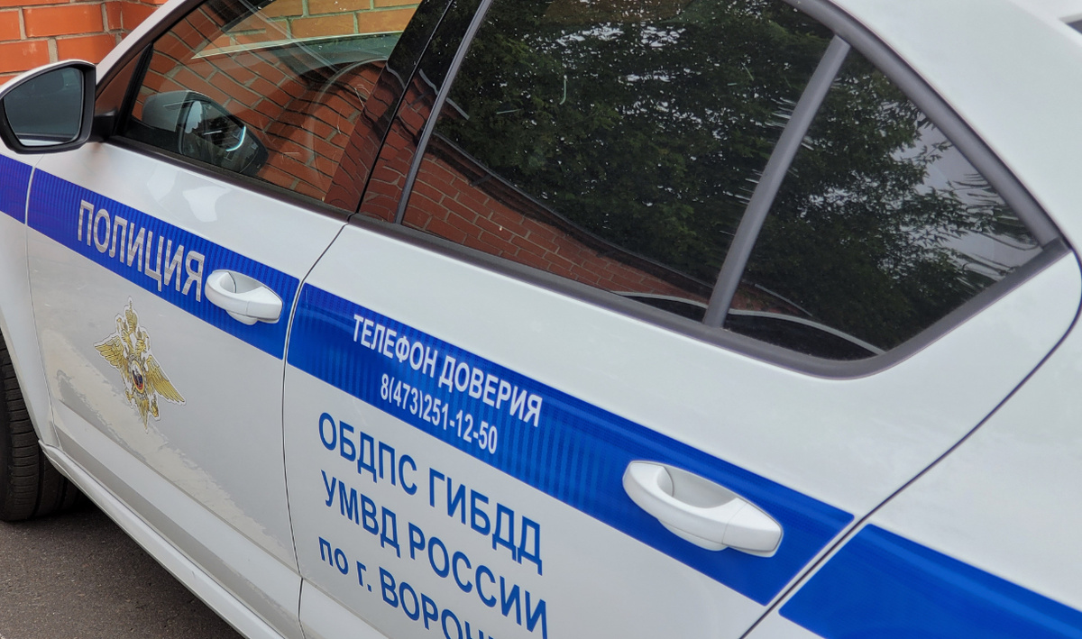     ДПС. Автор: редакция. Фото: редакция.