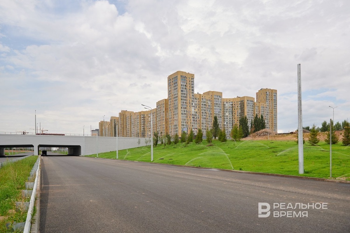   Динар Фатыхов / realnoevremya.ru