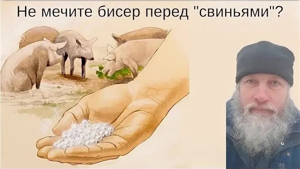 Не мечите бисер перед свиньями