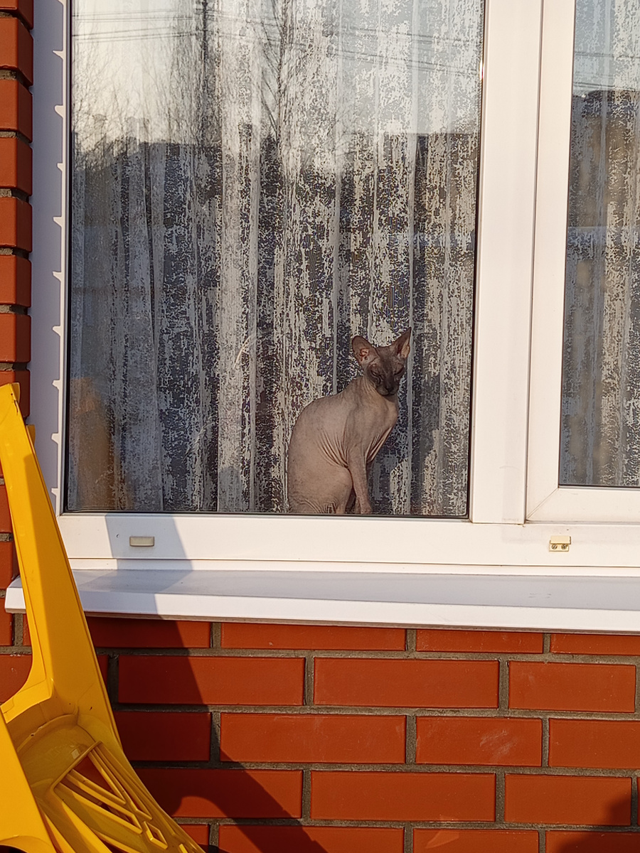 Где солнце, там и Василиса