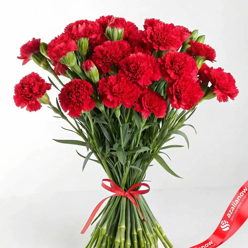 букет красных гвоздик, иллюстрация - скрин из архива интернета