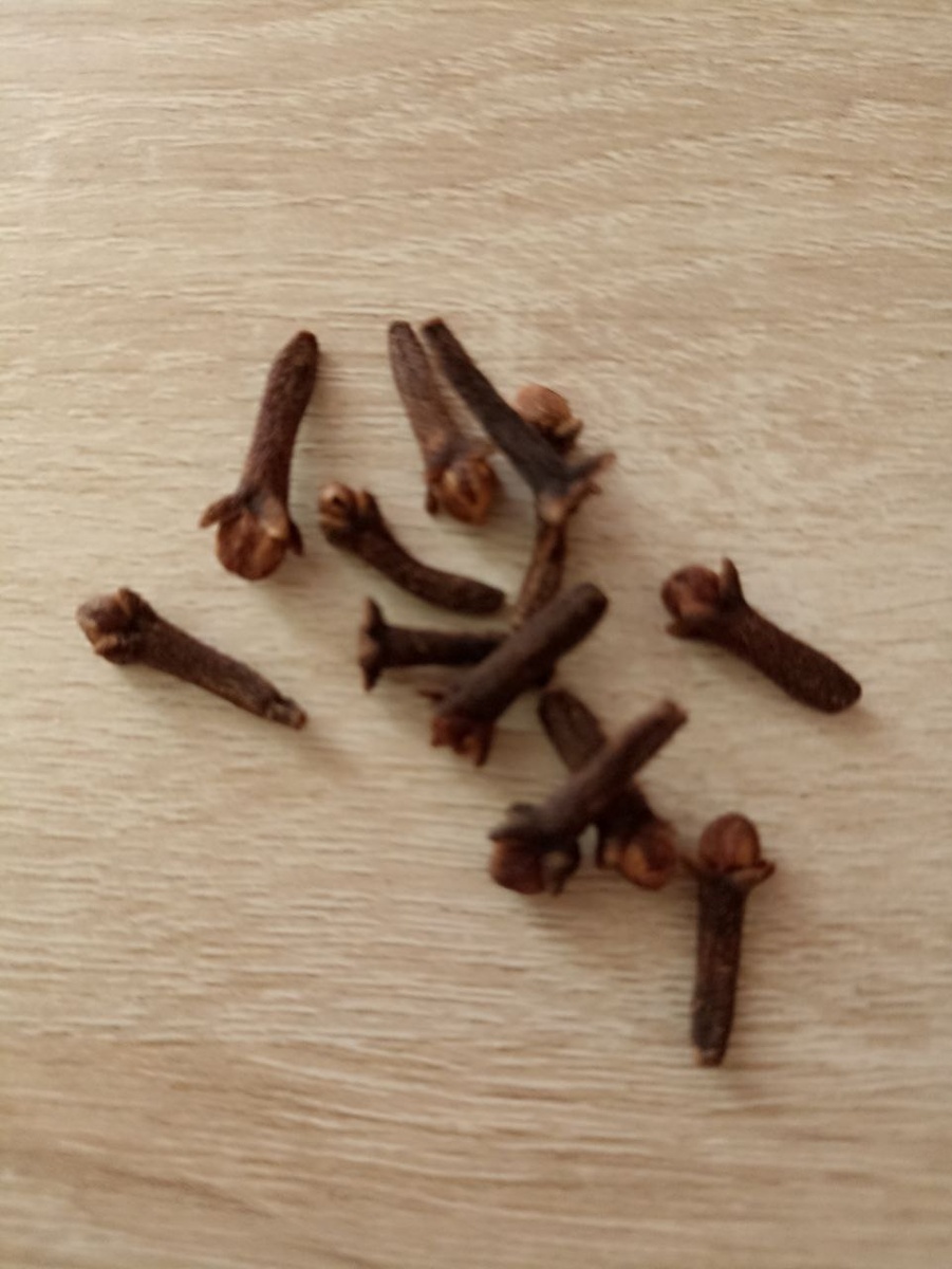 плоды гвоздичного дерева - специя гвоздика , фото автора 