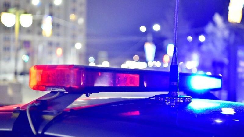    Фото: Андрей Ткачев/«Ямал-Медиа»