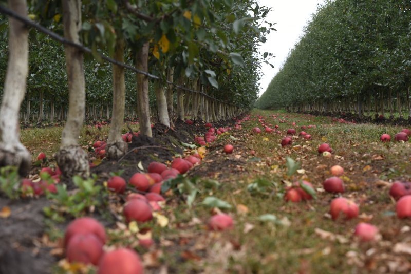     © фото - Курская областная Дума