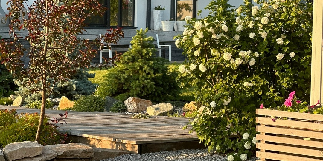 Диковинки нашего сада. Продолжение