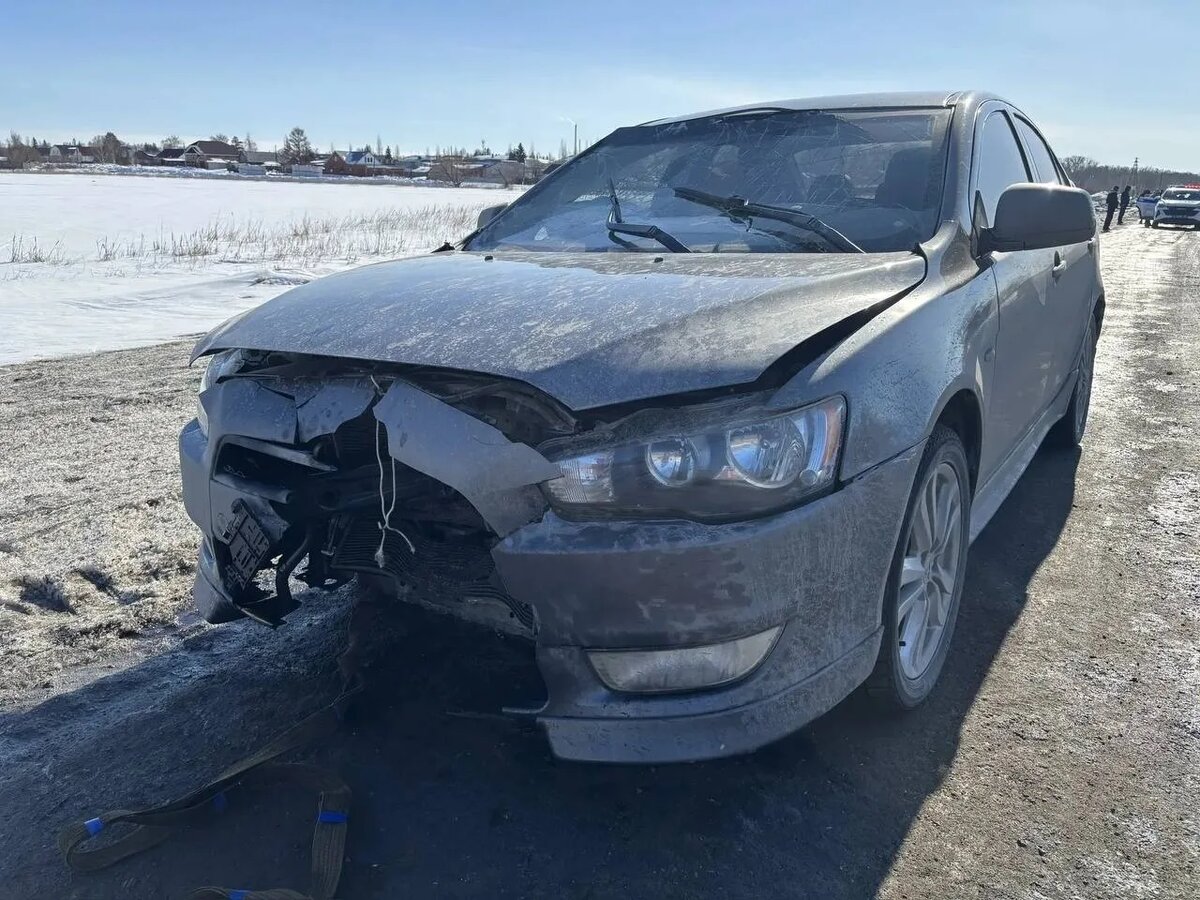 Фото: УМВД России по Омской области