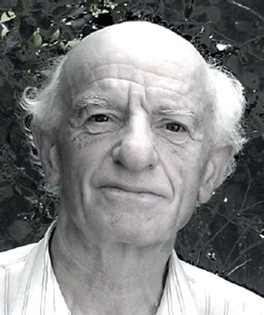 Эммануил Эльевич Шноль (1928–2014) — советский и российский математик. Поступил на мехмат МГУ, когда ему было 15 лет, в 1943 году. После службы в армии поступил в аспирантуру в Математический институт им. М. И. Стеклова и защитил диссертацию, связанную с изучением свойств решений уравнения Шрёдингера. Ученый работал над задачей во время службы в армии — по воспоминаниям Эммануила Эльевича, это был его лучший математический труд. Итогом стала теорема Шноля, которая послужила толчком для многих работ в области изучения свойств оператора Штурма—Лиувилля. В 1958 году был принят на работу в Институт Прикладной Математики, в котором проработал более 20 лет. Под его началом в России начал развиваться метод молекулярной динамики.