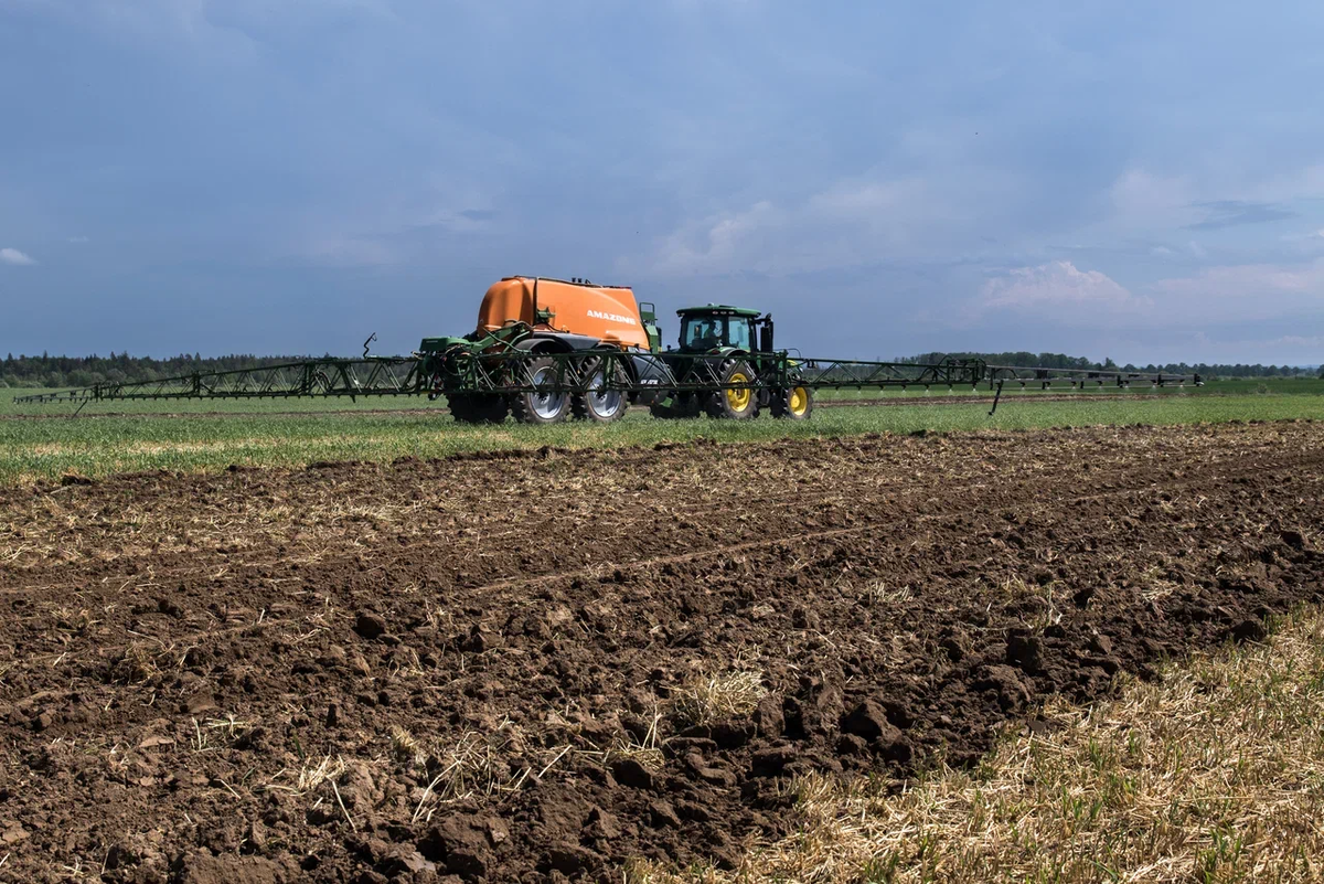 Фото из архива rugrad