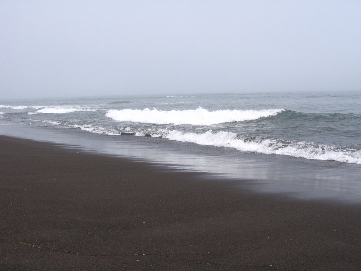 побережье Тихого океана уйти от него далеко не получится