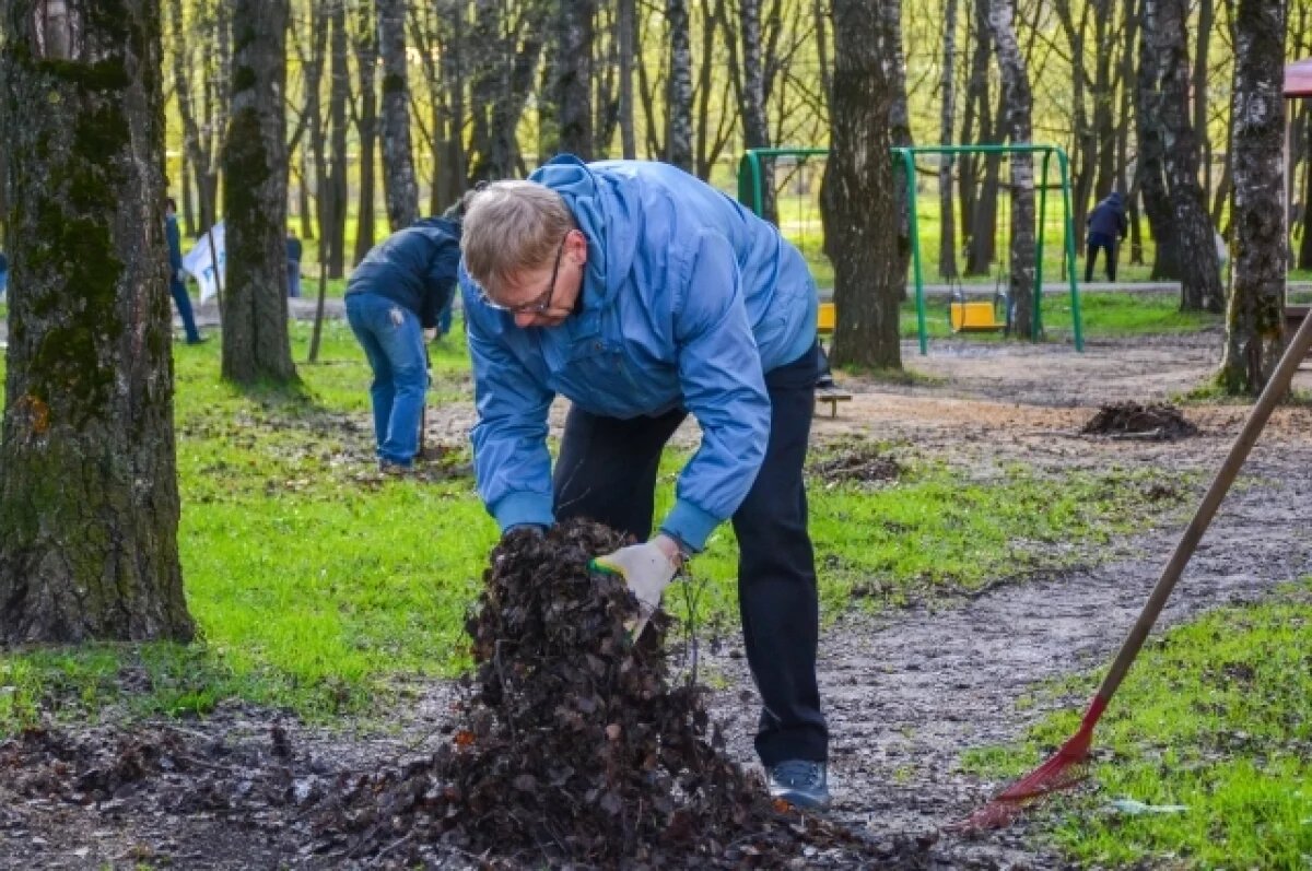    В Челябинске весенние субботники начнутся на неделю раньше обычного