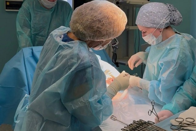   Фото: пресс-служба регионального правительства