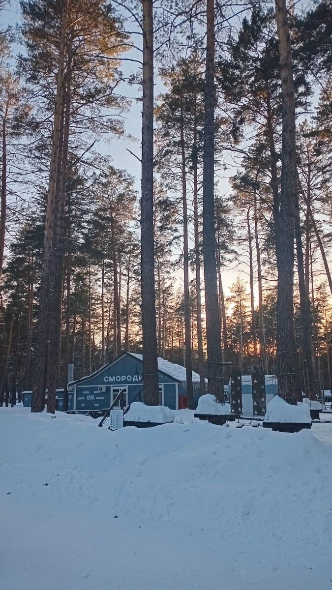 Закат в лесу