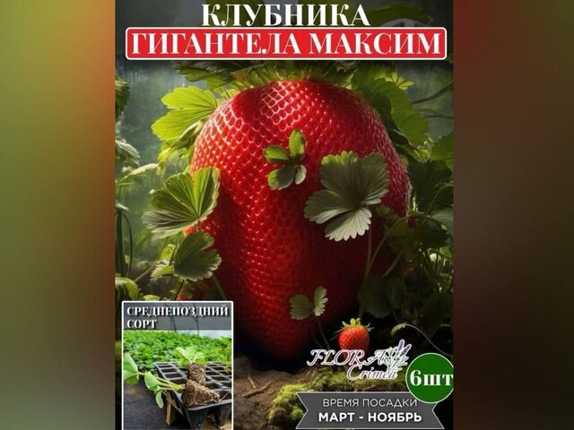    Фото: wildberries.ru