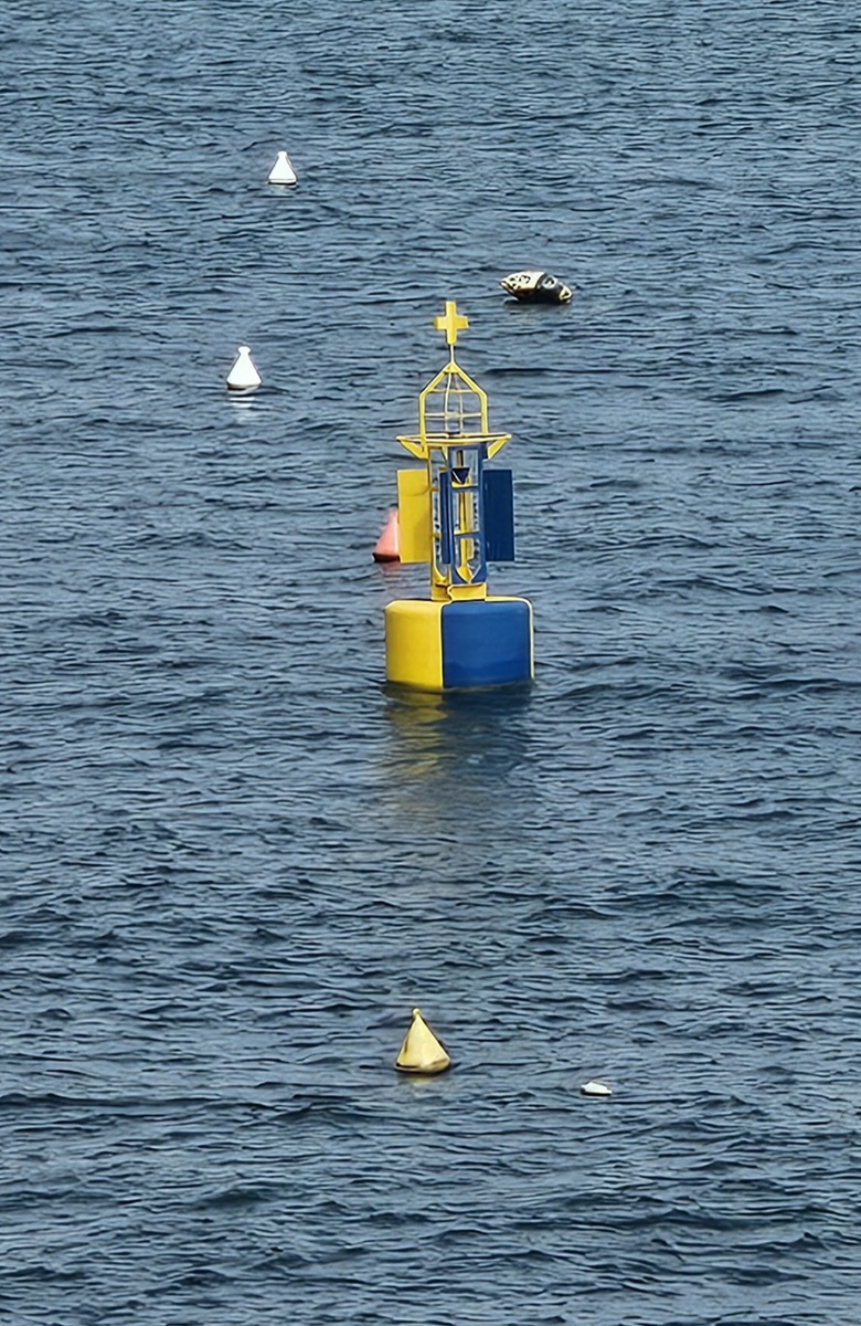 Так отмечают наш Мальте место затопления судна