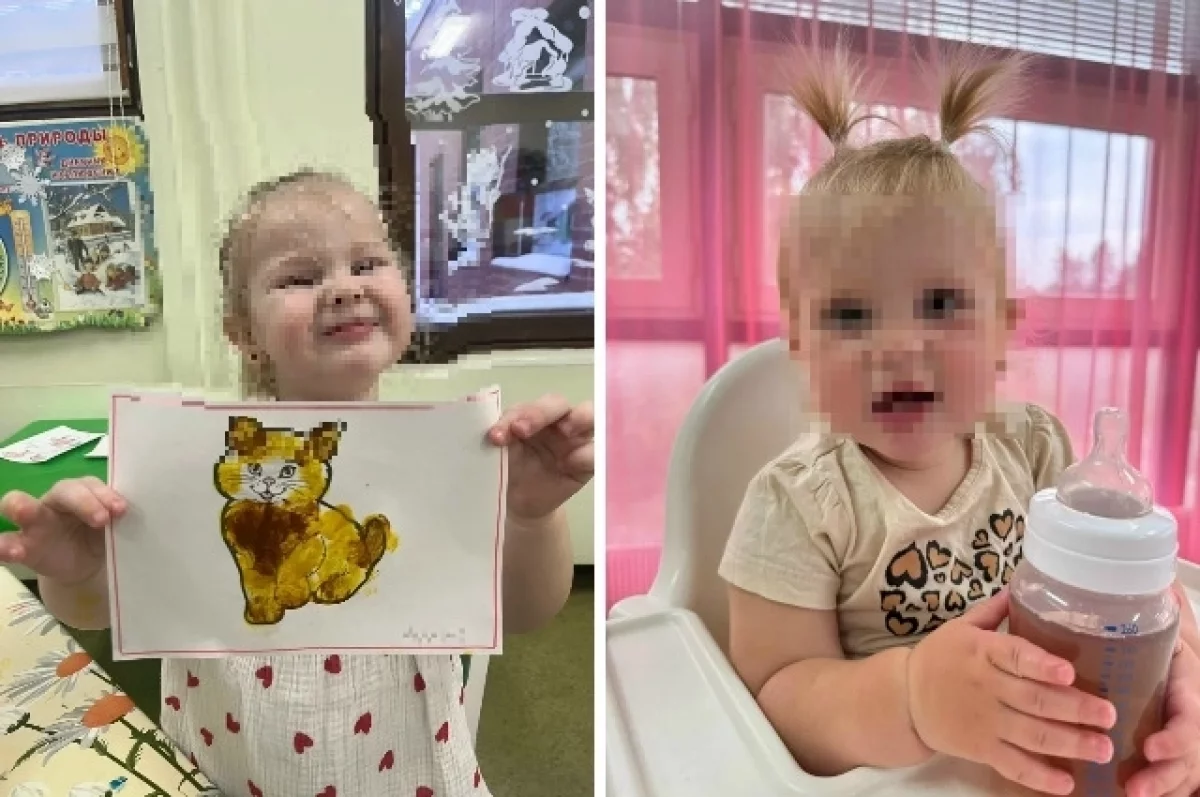 Фото: коллаж «АиФ-Карелия»