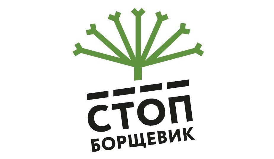 🌿 БОРЩЕВИК В 2026: ОБЯЗАННОСТИ И ШТРАФЫ ДЛЯ ВЛАДЕЛЬЦЕВ УЧАСТКОВ