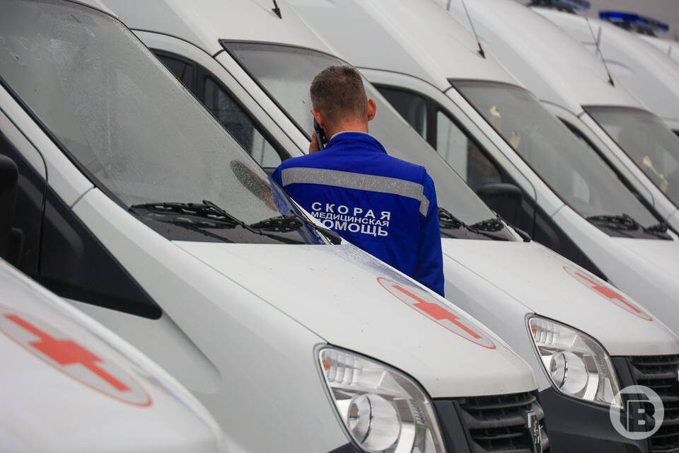    фото: Дмитрий Рогулин / "Городские вести"