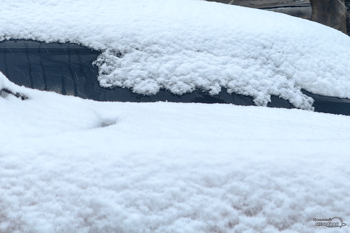    Фото: © ИА «Уральский меридиан»