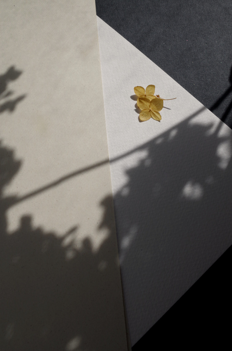 Разница в оттенках бумаги: от белоснежного до бежевого.