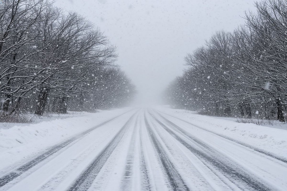    Фото: коллаж RuNews24.ru