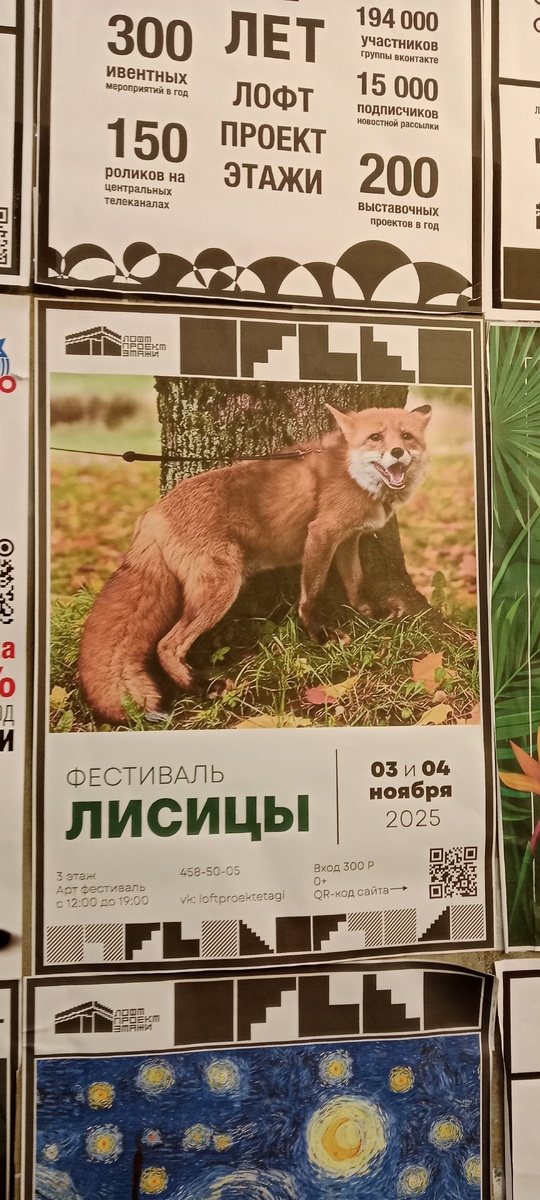 С фестиваля в Санкт-Петербурге.