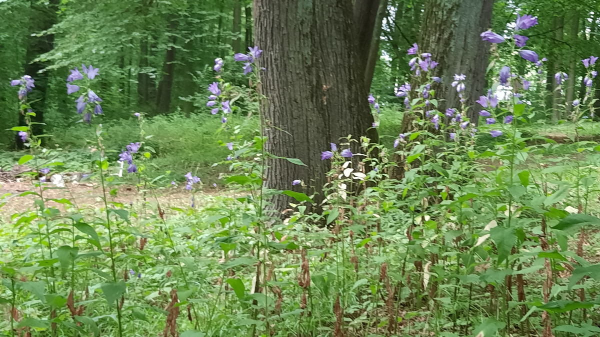 11 июля 2025 г.