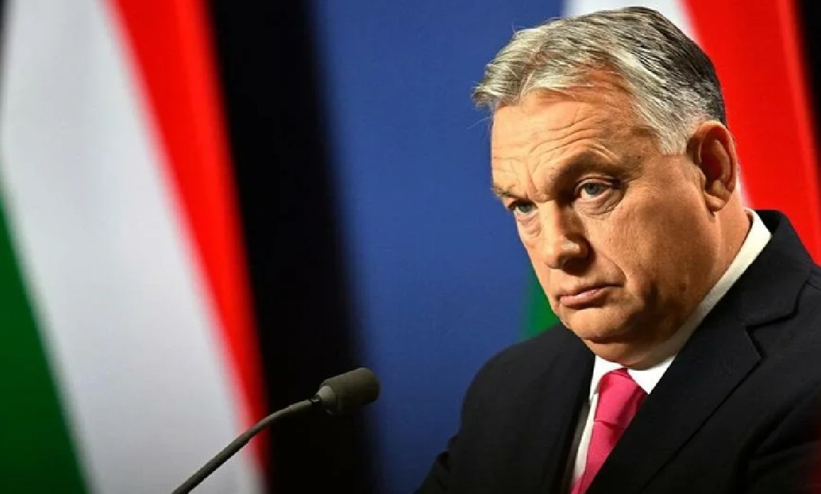 Фото - guancha.cn