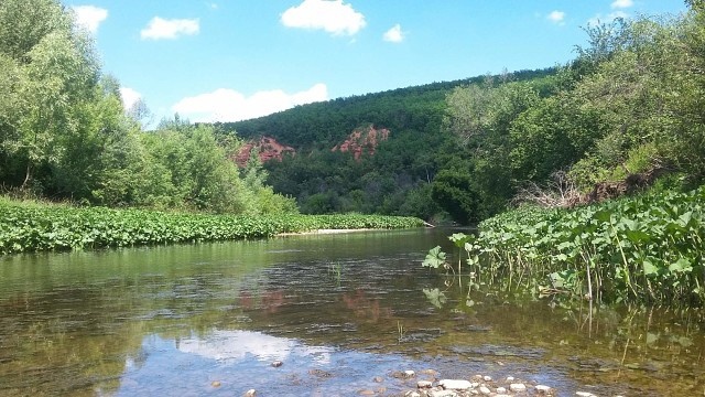 Судьба поэта подобна реке: она берёт начало в тихом роднике родного края и, набирая силу, несет свои воды к бескрайним морям. Для Розы Александровны таким родником стал Зирган.
