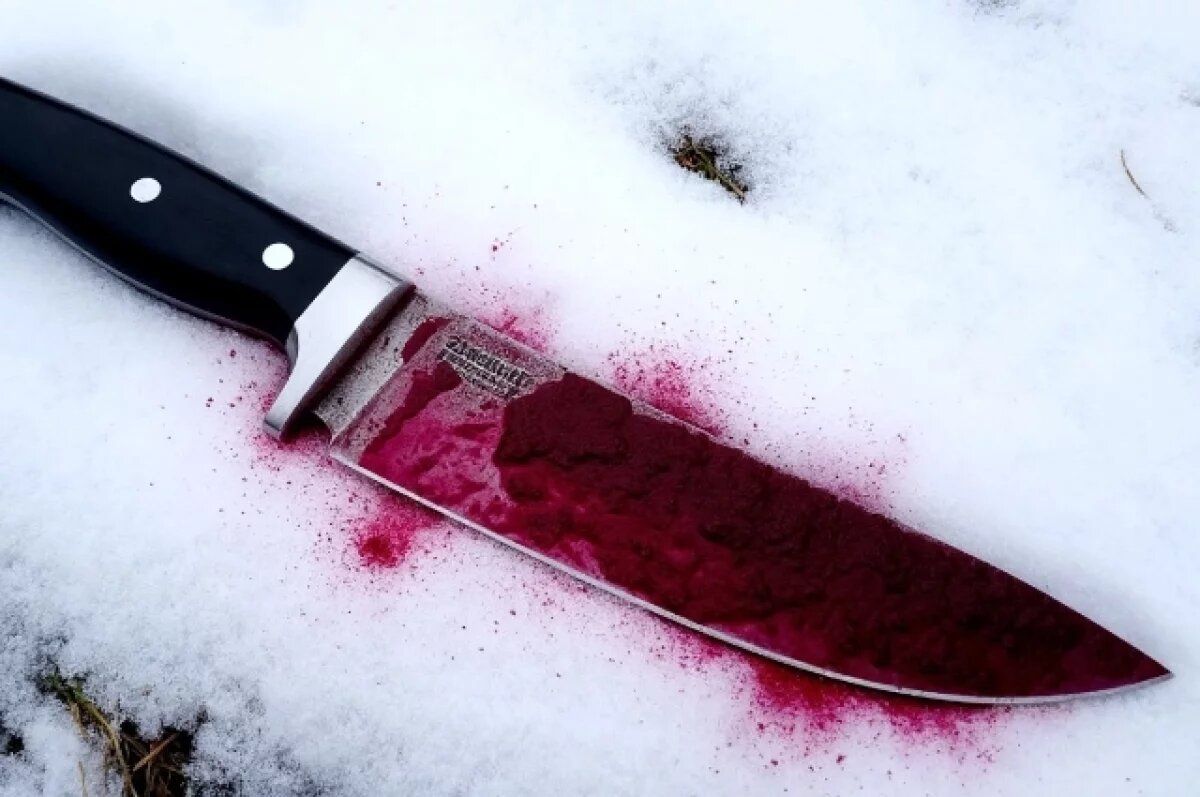    Женщина смертельно ударила ножом в грудь сожителя в Ленобласти