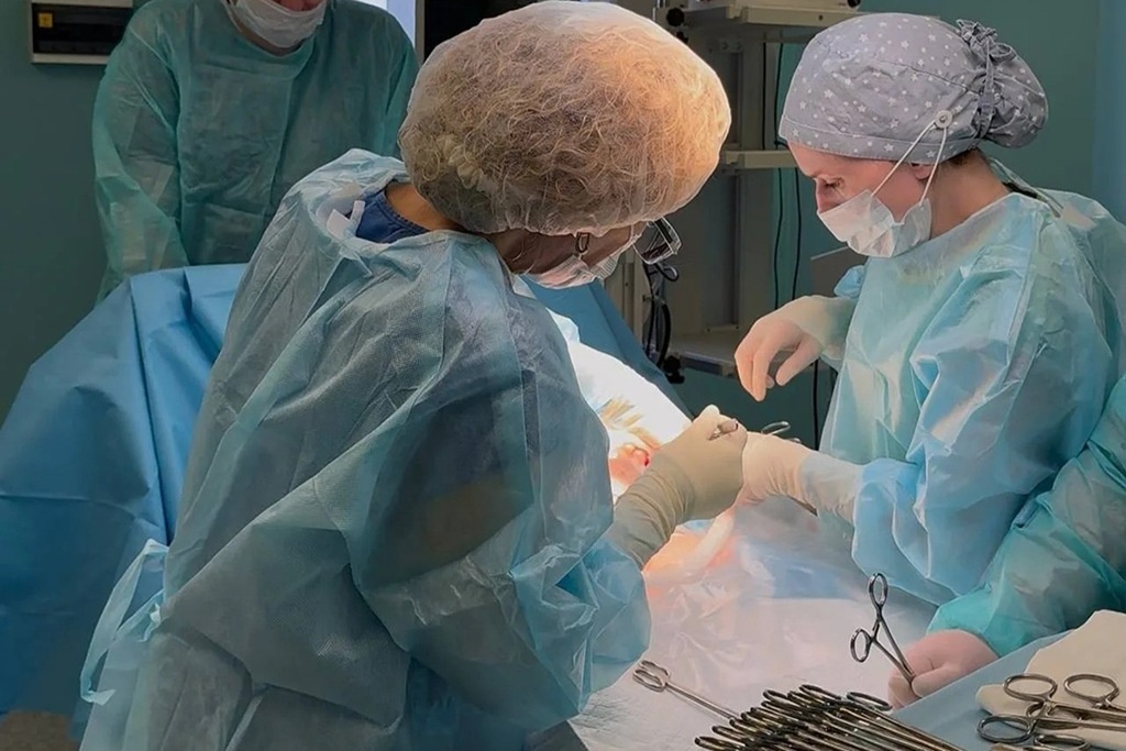 Фото: пресс-служба правительства Калининградской области Алексей Луньков  📷
