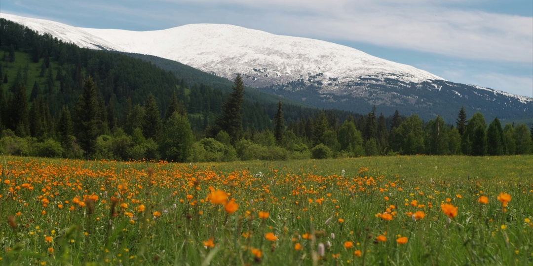 Гид по весеннему Алтаю: что посмотреть, где жить и как одеться