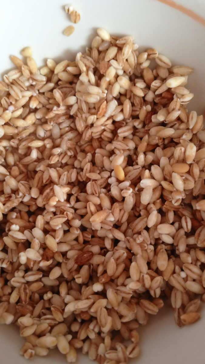 Перловая крупа. Фото автора.