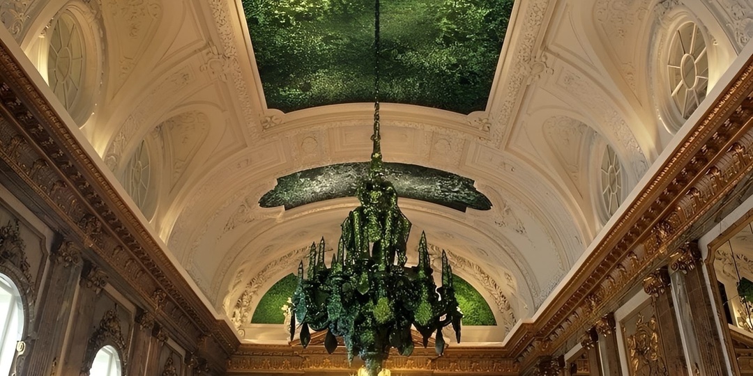 Тайна изумрудного неба : почему короли Бельгии постелили на потолок миллион жуков.