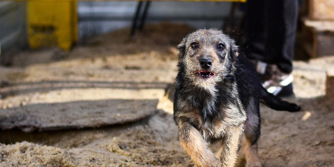 ЕДА В ПРИЮТ