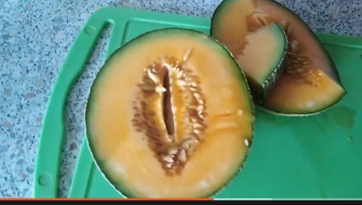 Дыня Карамельная, фото автора.