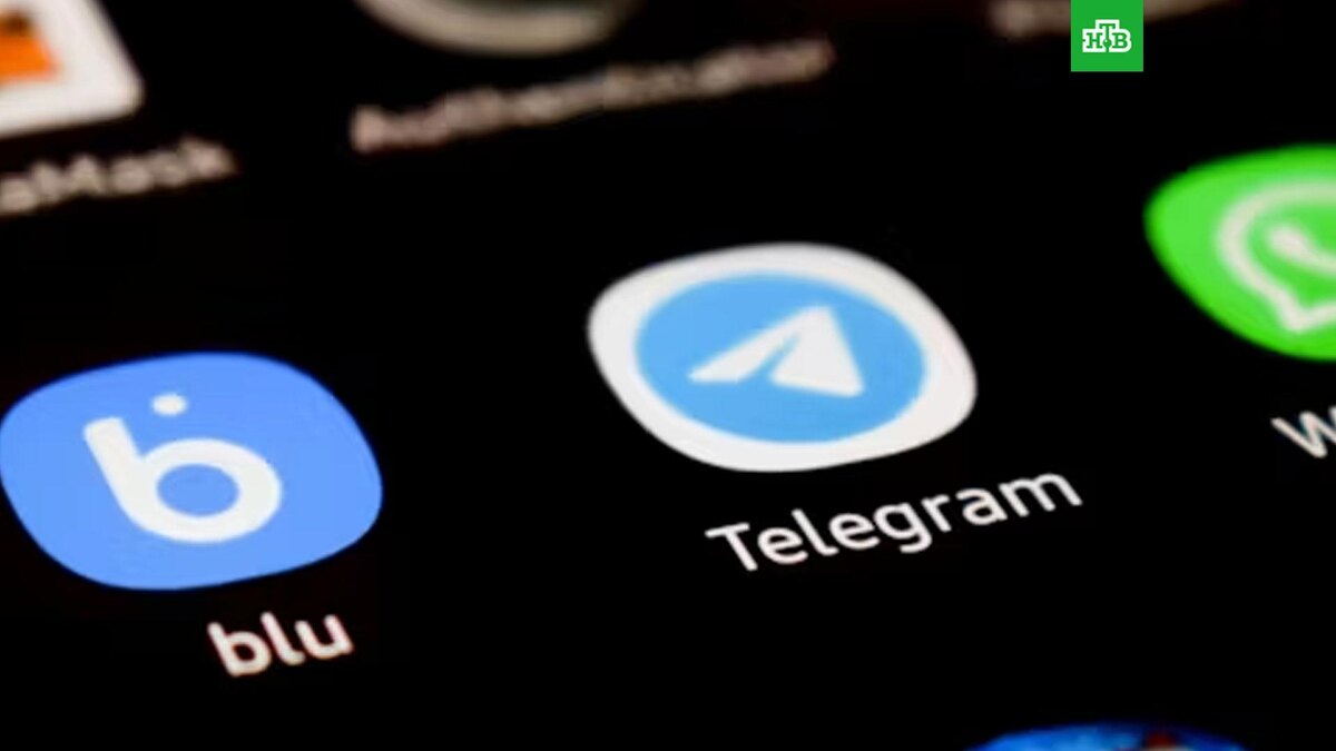    Фото: lonely blue / t.me