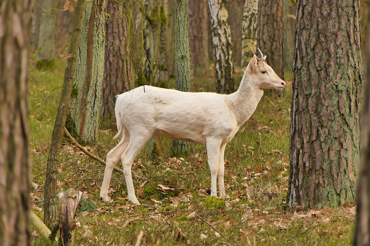    Изображение носит иллюстративный характер. Фото: Krzysztof Niewolny / Unsplash.com
