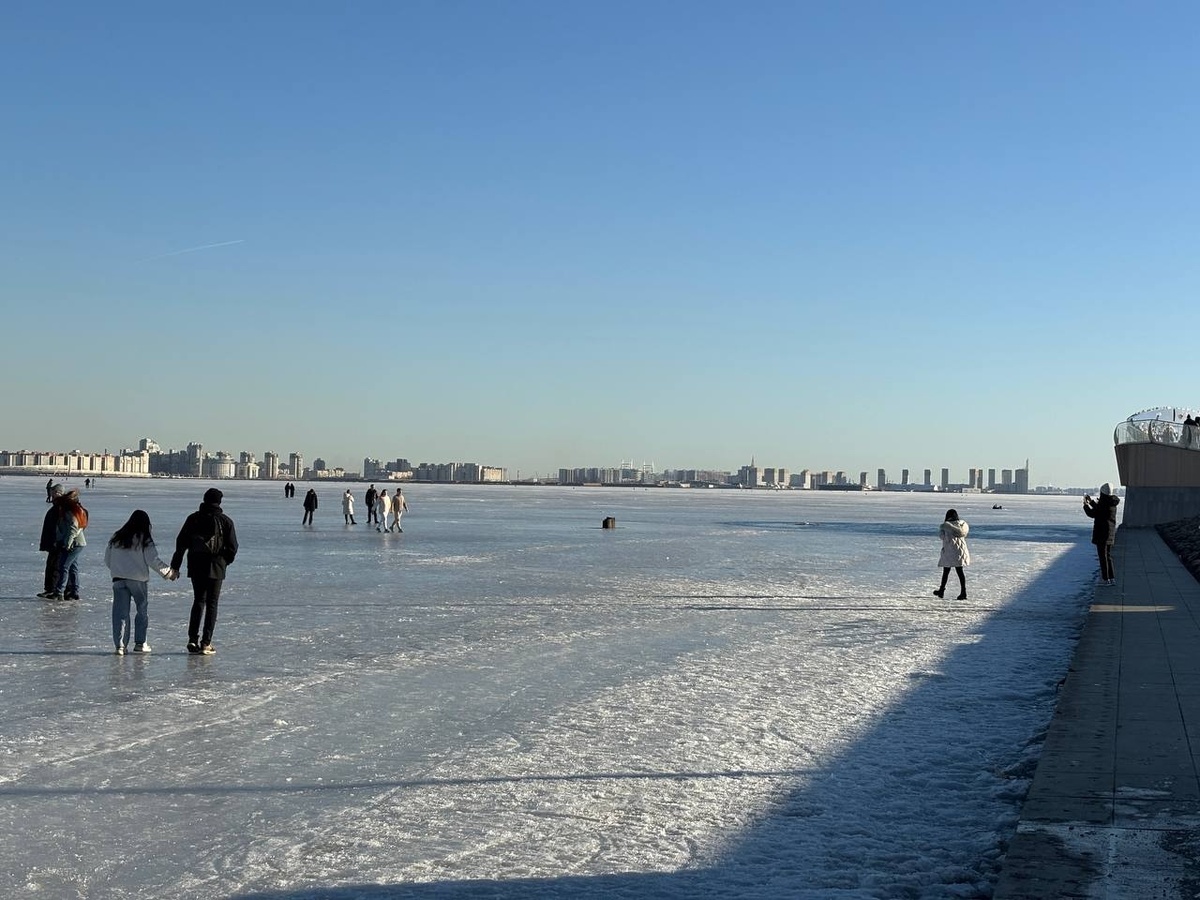 Фото: Neva.Today