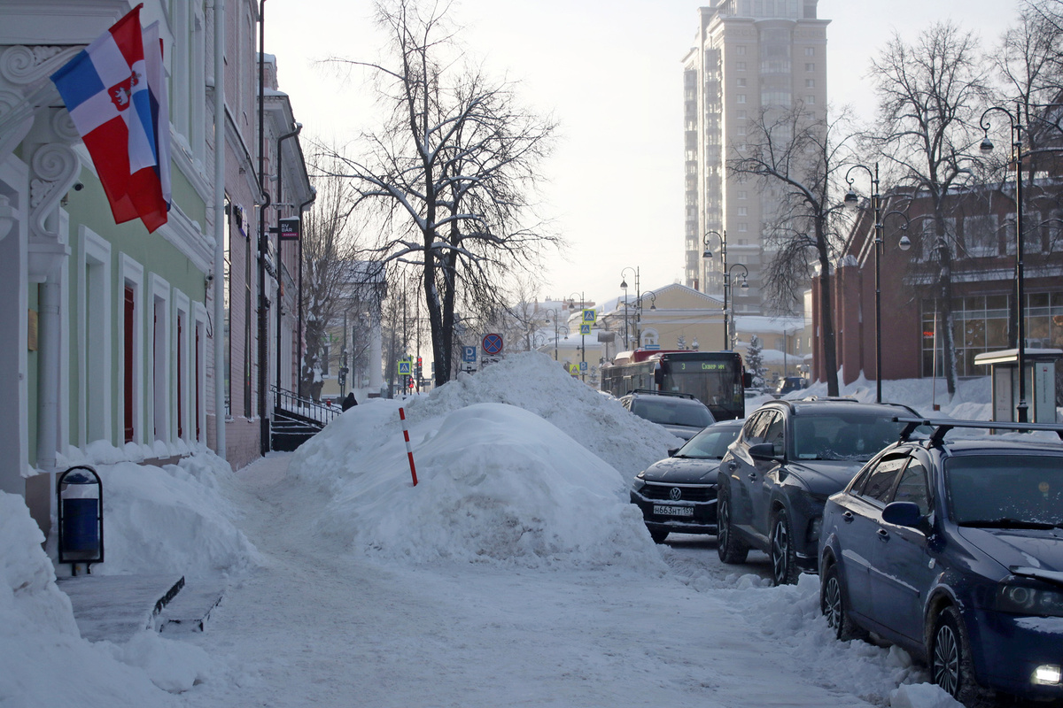 Обильные снегопады повлияют на размножение гнуса.  Фото: ФедералПресс / Максим Артамонов