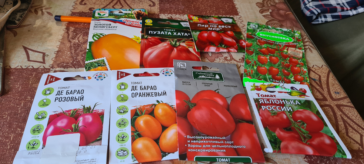 Помидоры этого года