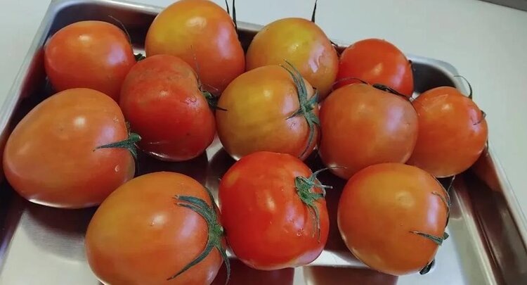    Фото: ФГБУ ЦОК АПК