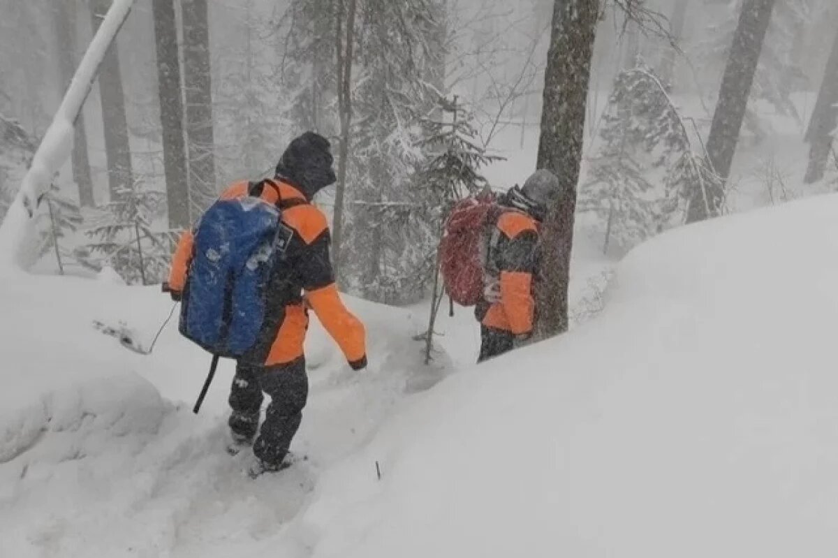    Пропал, как Усольцевы: новые детали поиска спецназовца Потаенкова в тайге
