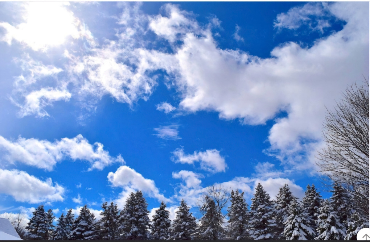 Изображение из открытых источников 