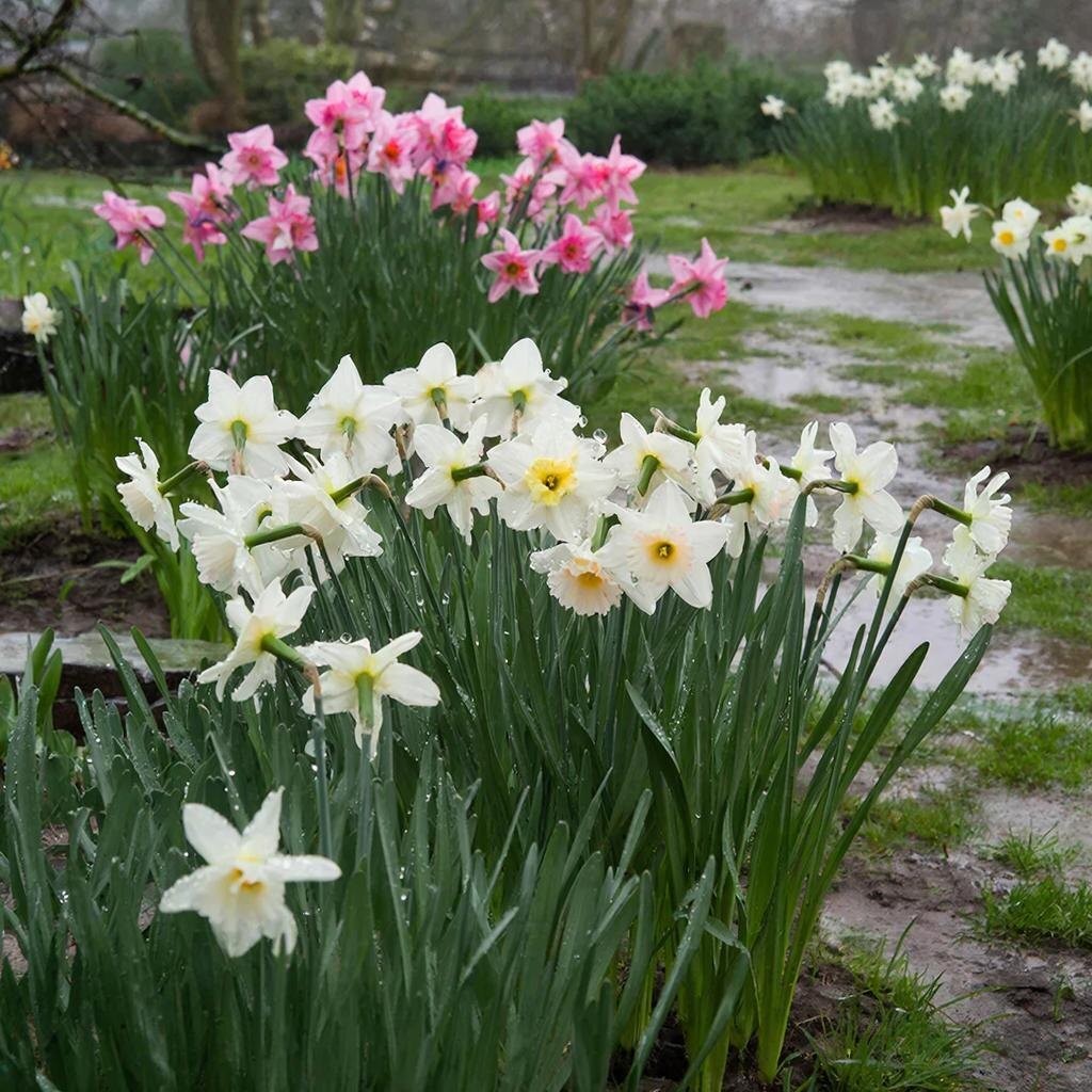 🌱 Делитесь лунным календарём с друзьями — пусть и их урожай тоже будет богатым!