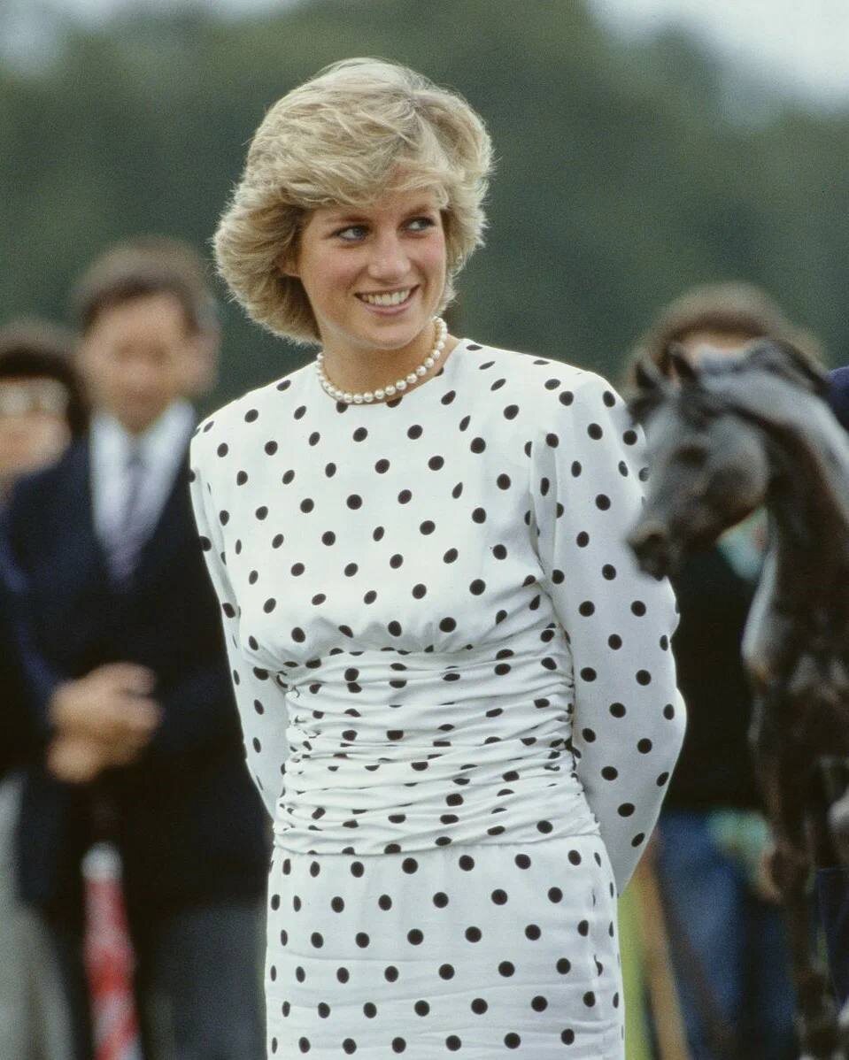 Источник: ТГ-канал https://t.me/+ovjjFRtaKGwyYzAy