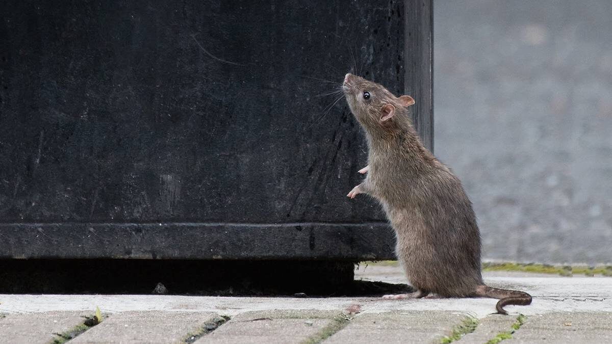    Фото: Shutterstock